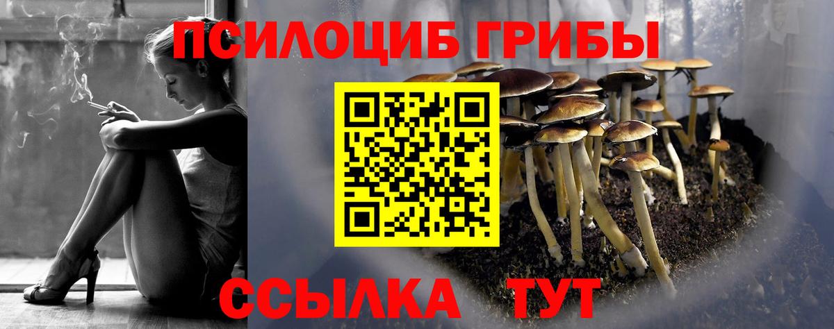 Псилоцибиновые грибы мицелий  Галлюциногенные грибы Psilocybe  купить наркоту  Вход с VPN  Обнинск 